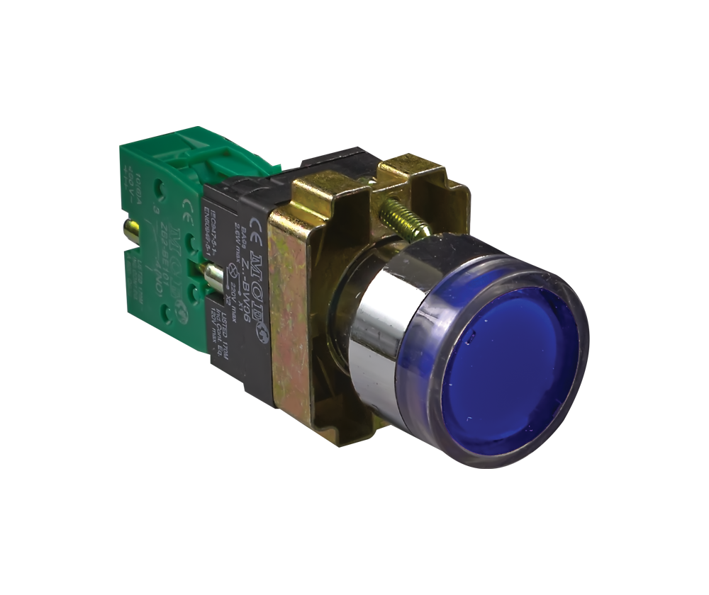 22mm Steel Pushbutton - Illuminated LED
