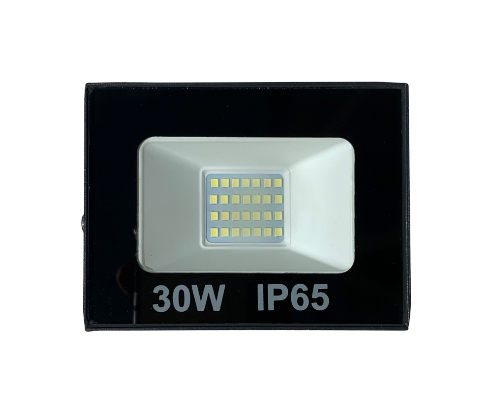 30W LED Floodlight