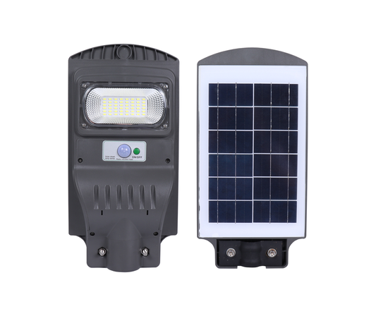 30W Econo Solar Street Light