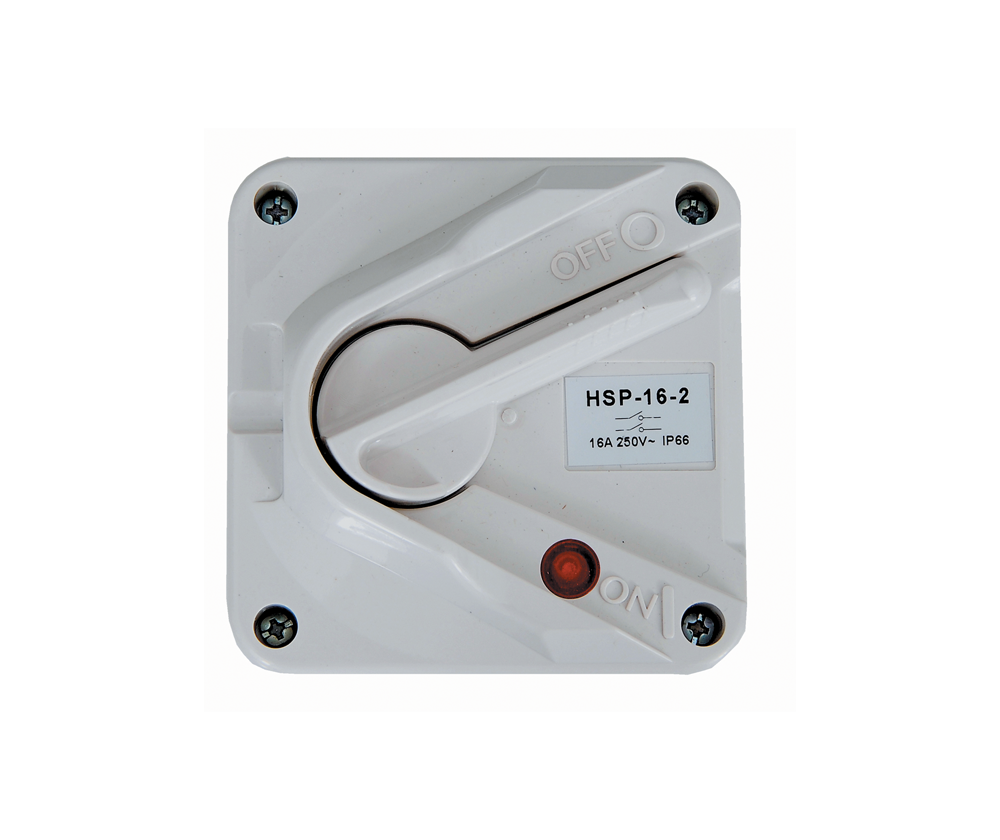 Ip66 Surface Mounting Lockable Isolator 2 Pole