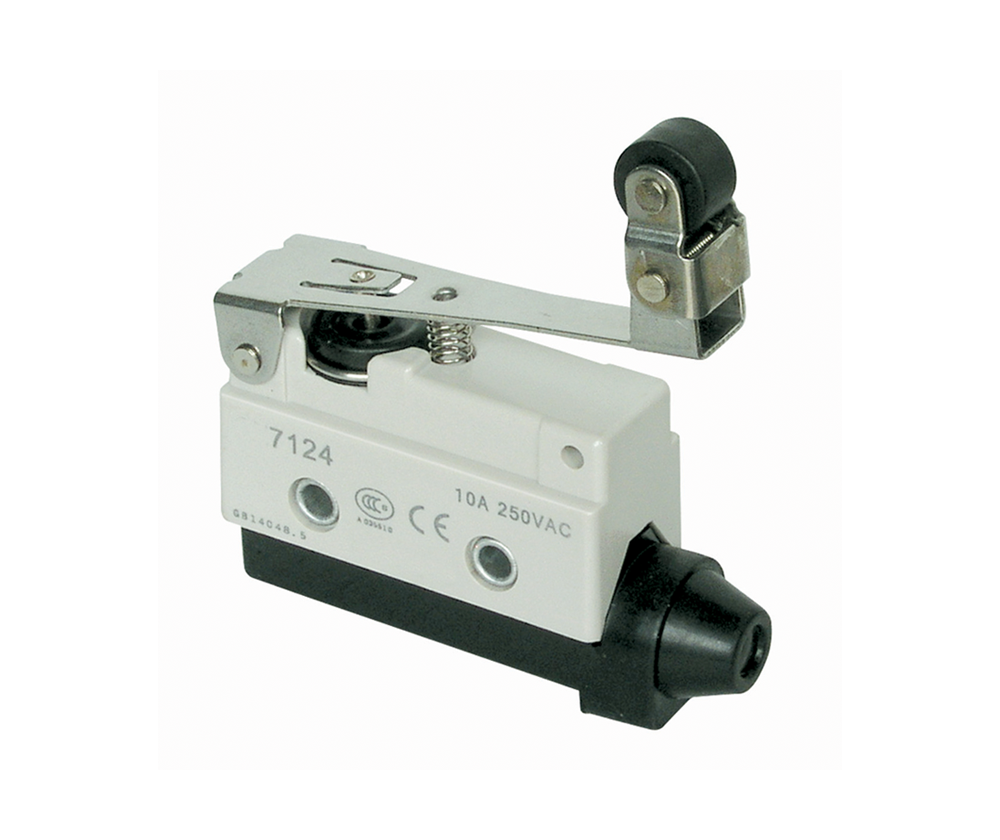 Long Double Roller Lever Micro Switch