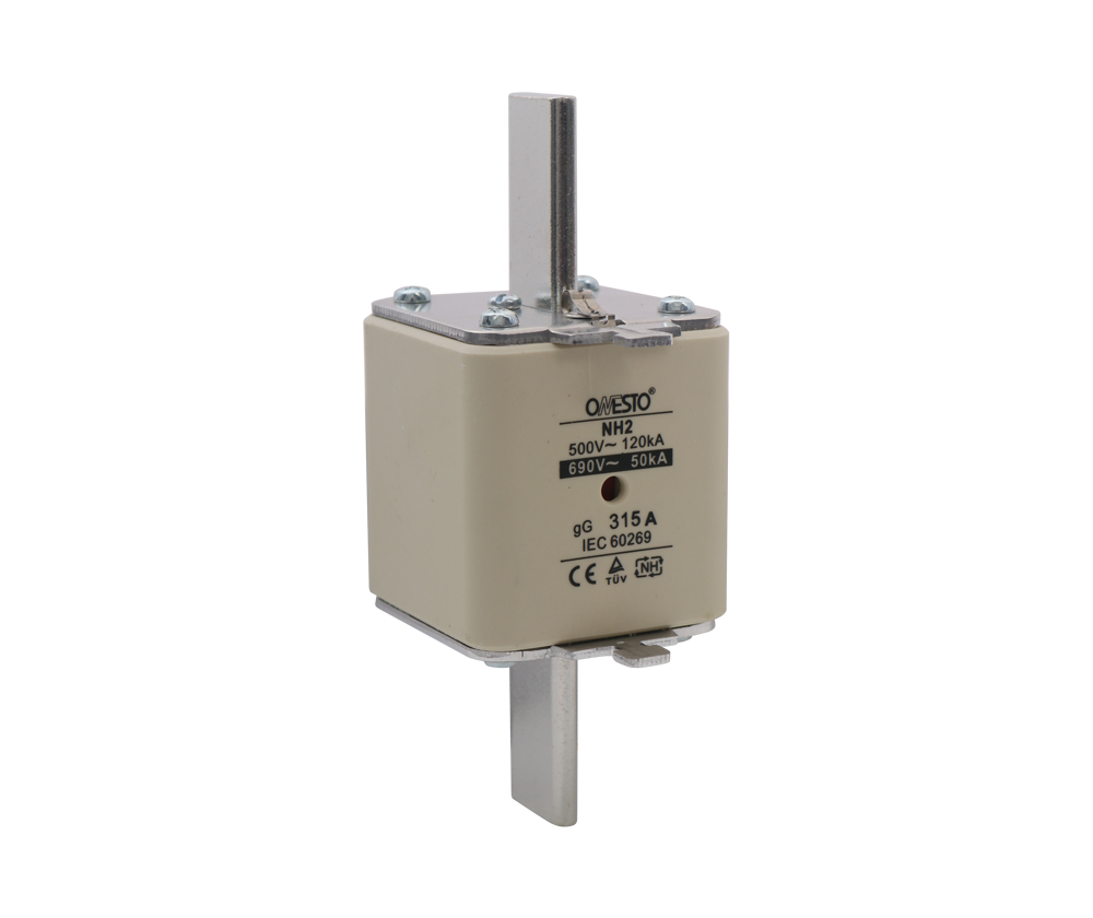 315 or 355A General Protection Fuse